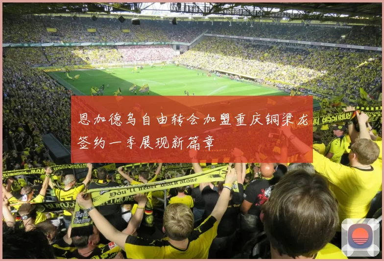 恩加德乌自由转会加盟重庆铜梁龙签约一季展现新篇章