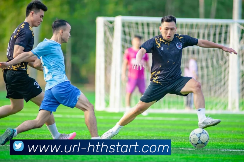 华体会发展历程